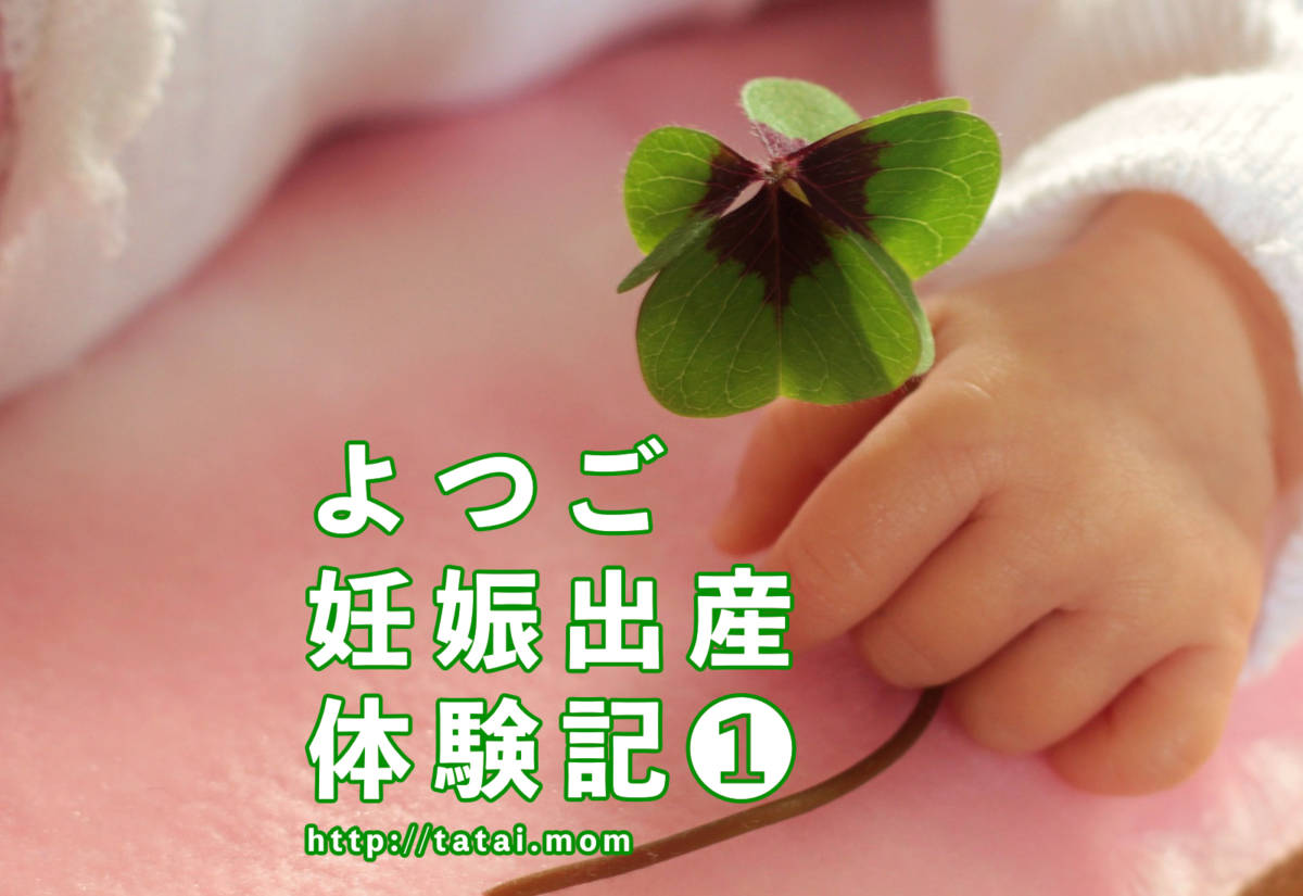 よつご妊娠出産体験記