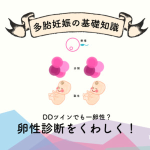 DDツインでも一卵性?卵性診断をくわしく解説!