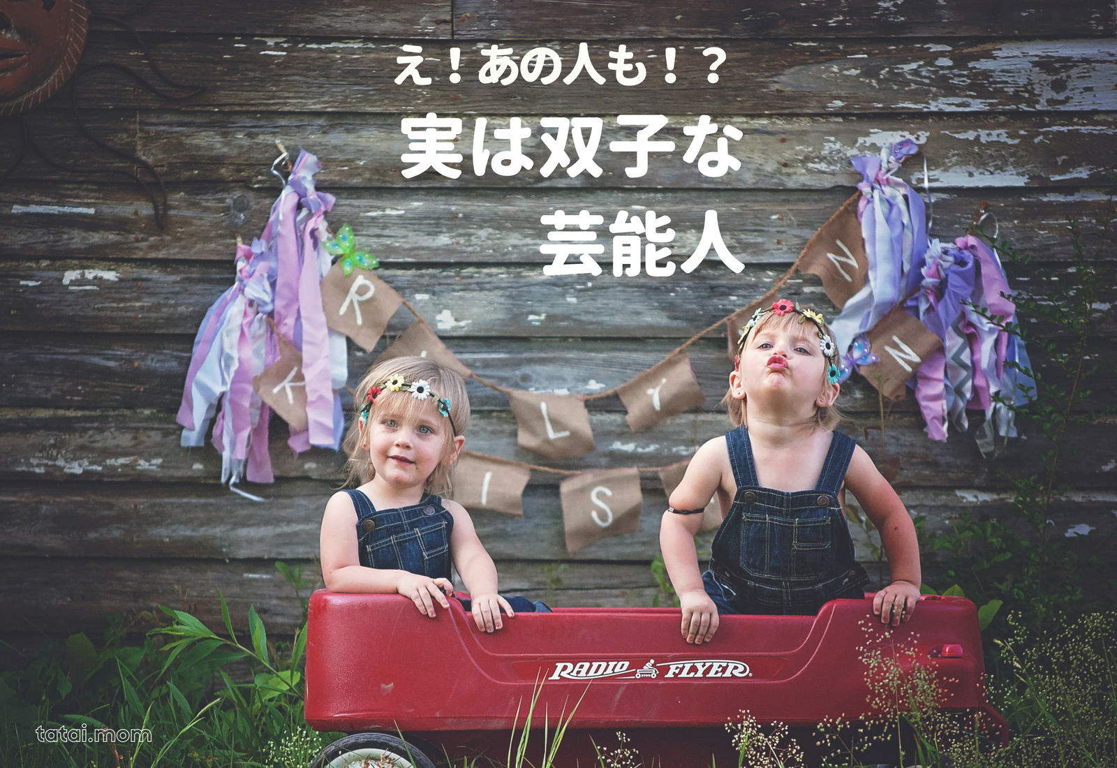 実は双子の芸能人