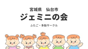 ジェミニの会 宮城県仙台市のふたご 多胎サークル