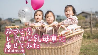 リカちゃんの家族構成に驚愕 多胎マム