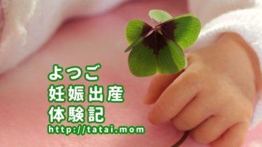 まさか三つ子妊娠 みつご を受け入れられるまで