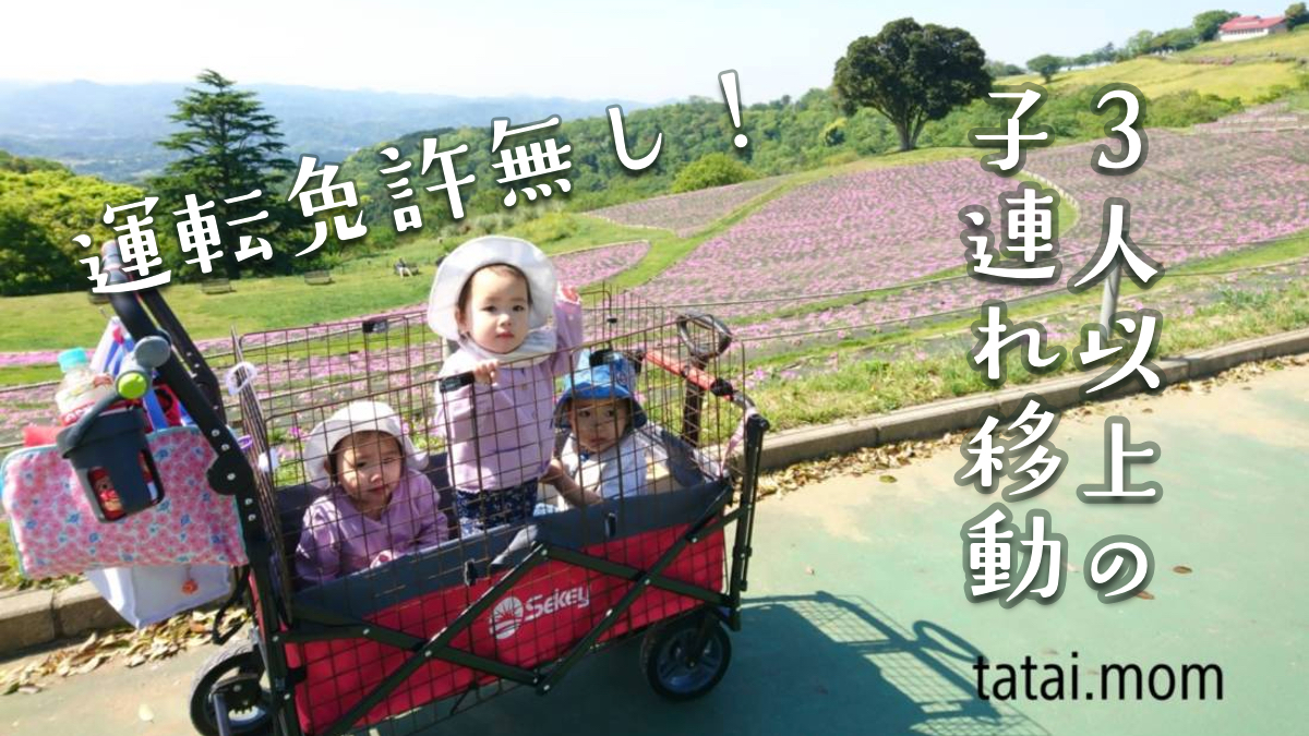 運転免許ナシ、自転車定員オーバー。3人以上の子連れで幼稚園送迎 