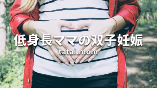 低身長の双子妊婦 中期編 多胎マム