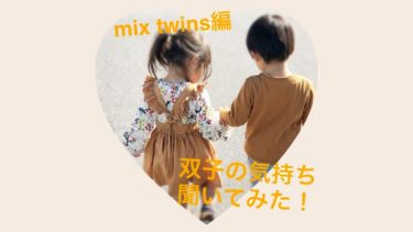 大人になった双子に 双子の気持ち聞いてみた Mix Twins編 多胎マム