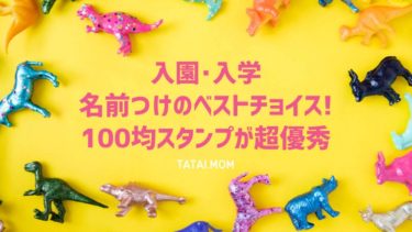 名前つけは100均の多目的スタンプがベストチョイス 多胎マム 名前つけは100均の多目的スタンプがベストチョイス 多胎マム